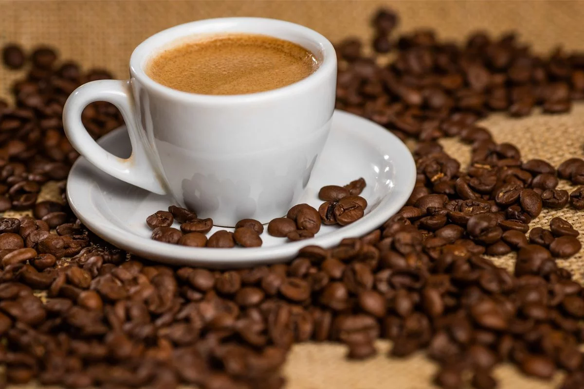 Exportações de café do Brasil despencam 21% no 1º trimestre de 2026