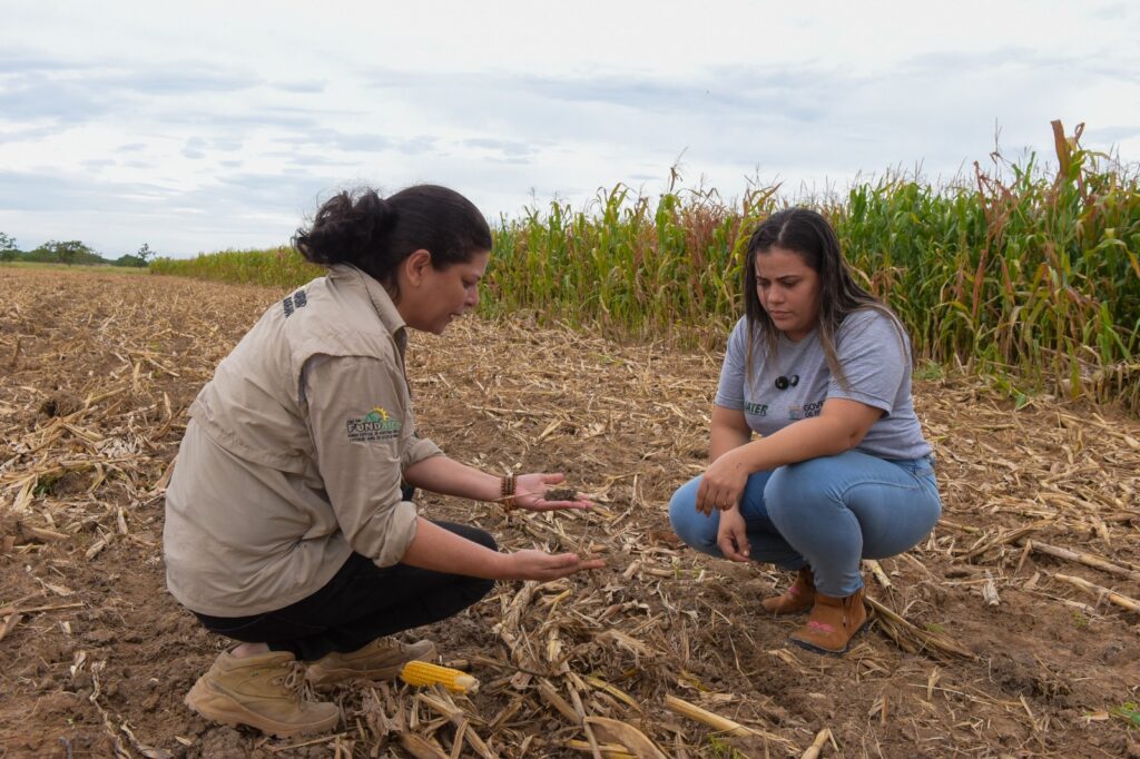 Agricultura familiar de Roraima amplia produção com feijão-caupi