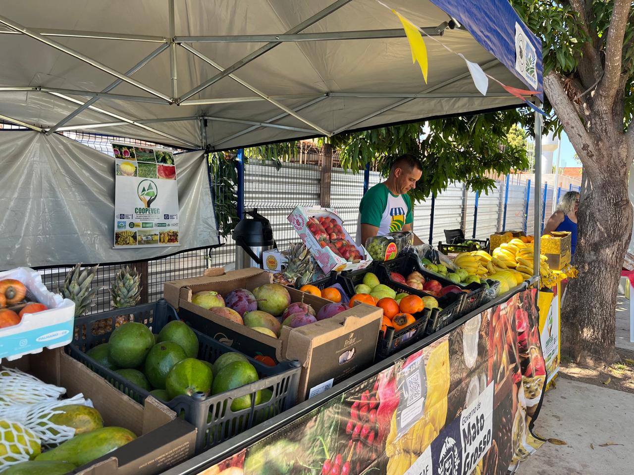 Feiras da agricultura familiar impulsionam a renda de agricultores