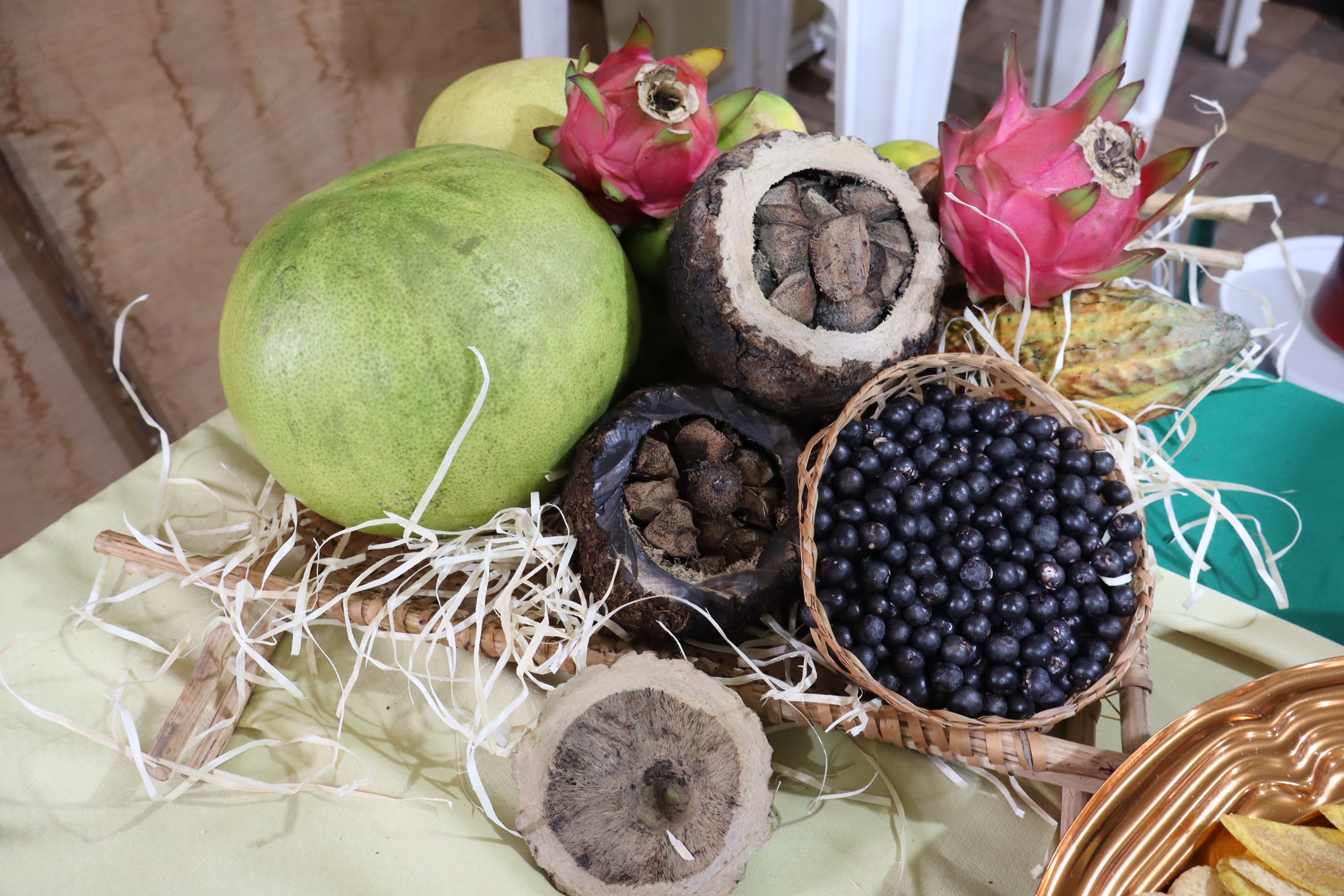 Cooperativa de Tomé-Açu impulsiona agrofloresta sustentável