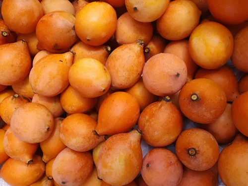 Achachairu – saiba como ganhar dinheiro com fruta da Bolívia