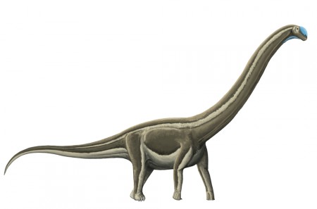 Doença óssea dizimou dinossauros no interior de São Paulo