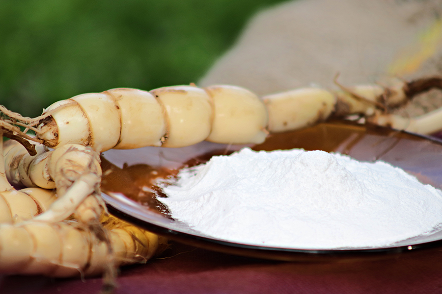 Farinhas nutritivas da floresta: como tradição virou tendência de mercado