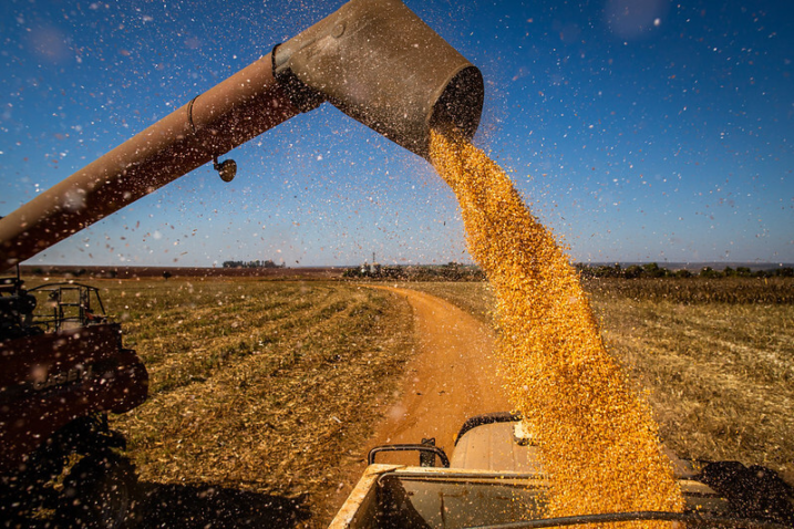 Campo Futuro calcula custos da produção de grãos no Centro-Sul