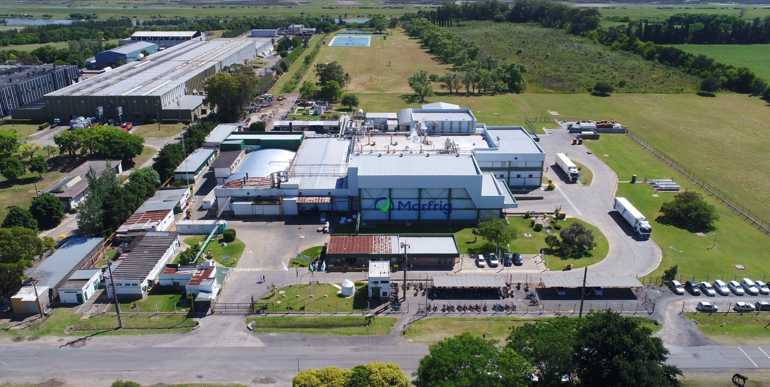 Fusão entre Marfrig e BRF é aprovada pelo CADE e cria gigante global