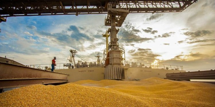 Brasil e Japão reforçam parceria no setor de grãos