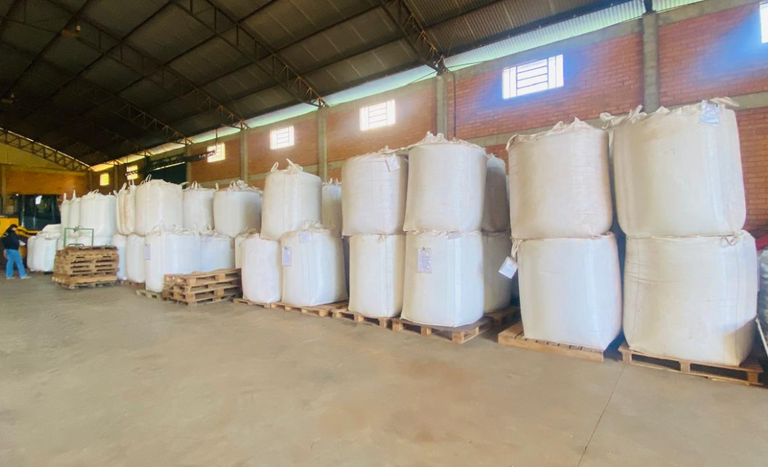 Operação apreende 3 mil toneladas de sementes irregulares