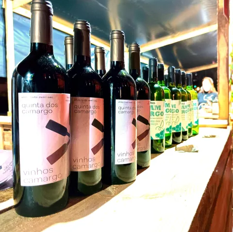Inovação científica revoluciona produção de vinhos em Minas Gerais