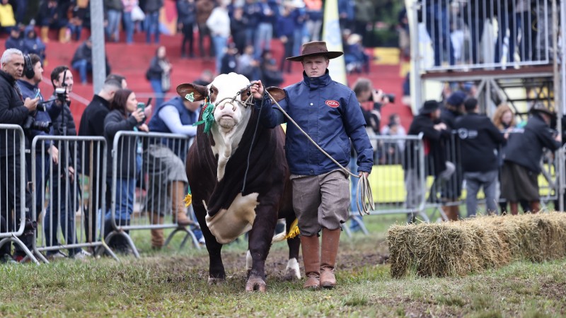 Campeões e emoção marcam desfile da Expointer 2025