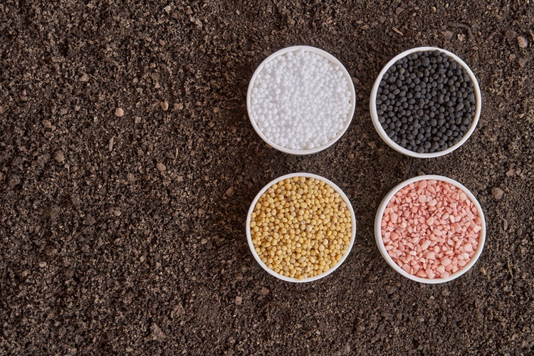 Alta da amônia e do enxofre ameaça custo da produção agrícola no Brasil