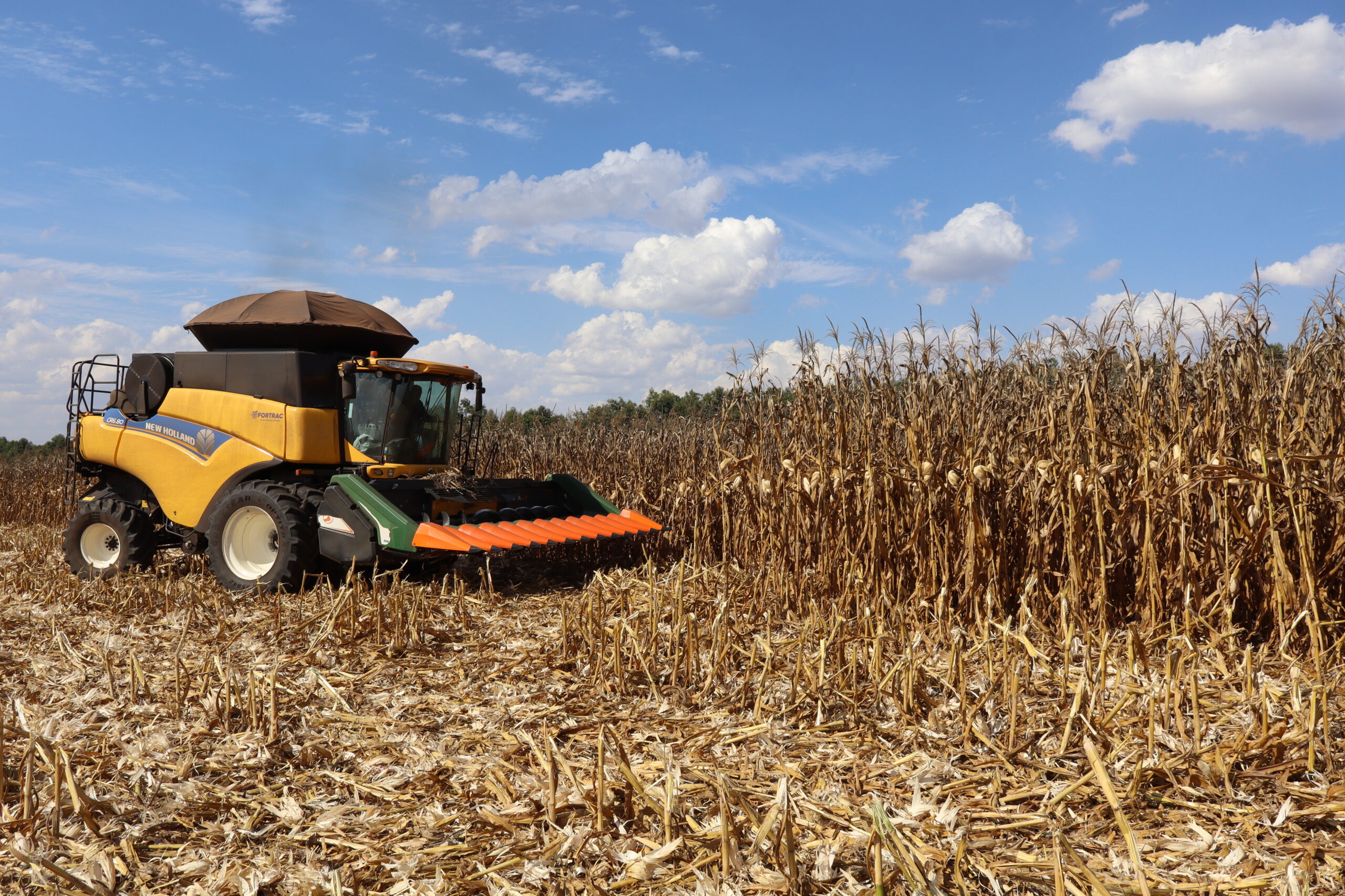 Agronegócio paulista tem superávit de US$ 14,76 bi em oito meses