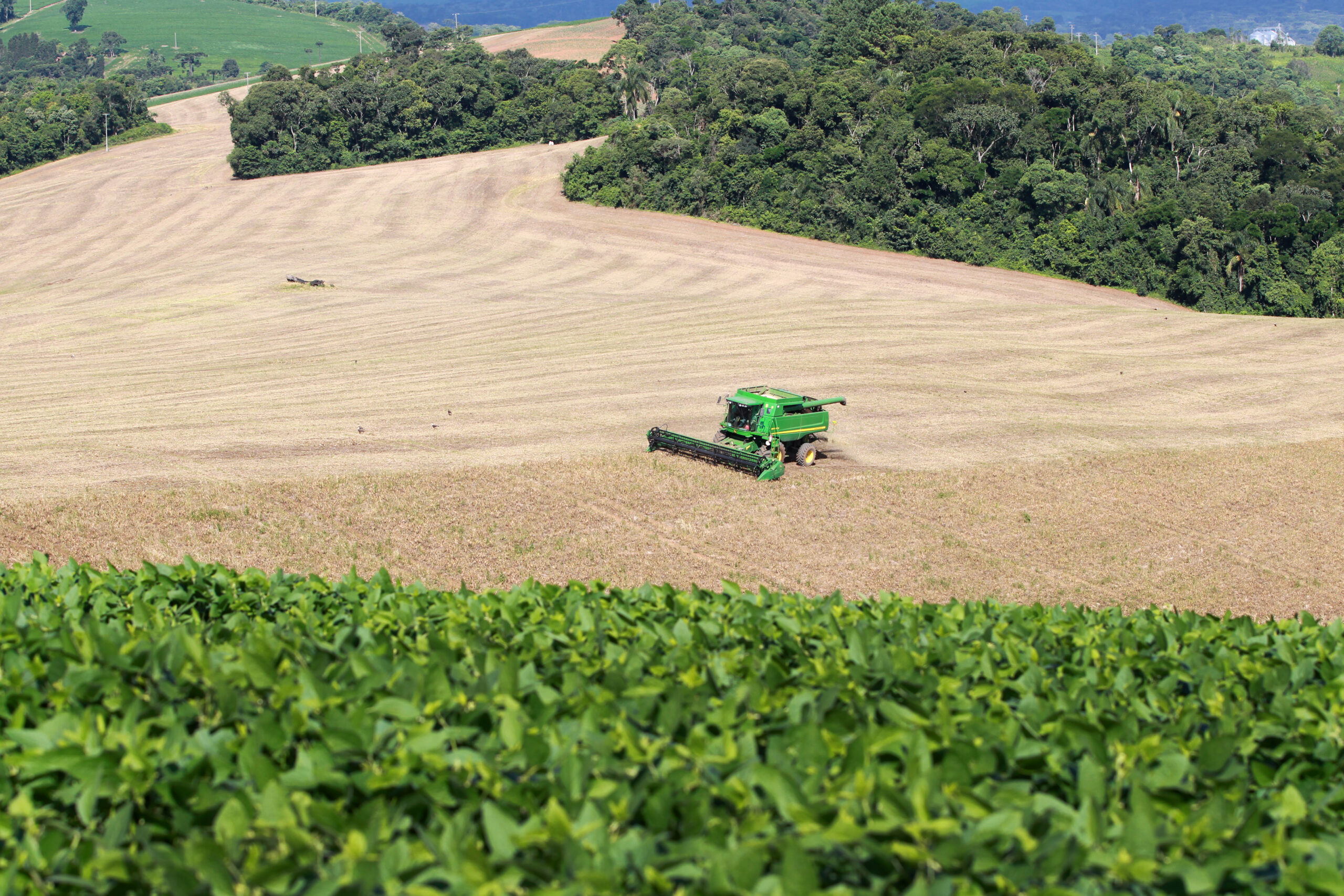 Safra recorde de grãos consolida Paraná como potência agrícola