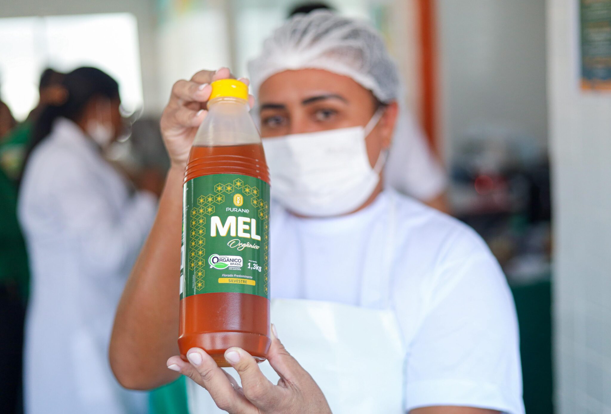 Piauí reforça merenda escolar com mel produzido por apicultores da região
