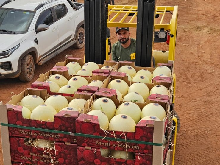 Goiás inicia exportação de melão para a Argentina