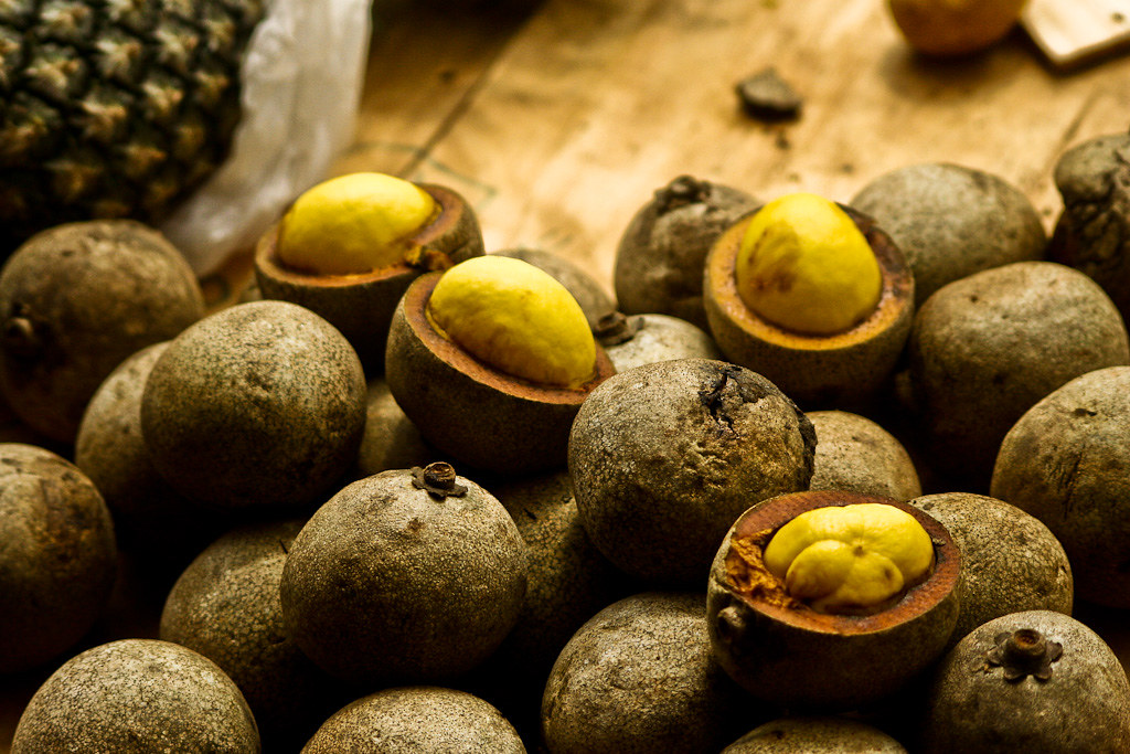Piquiá: fruto rico em vitaminas que poucos conhecem