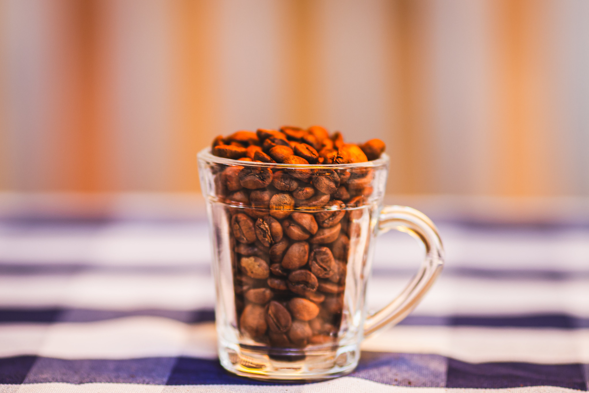 Produtor tem a maior nota da história no Concurso de Cafés de Minas