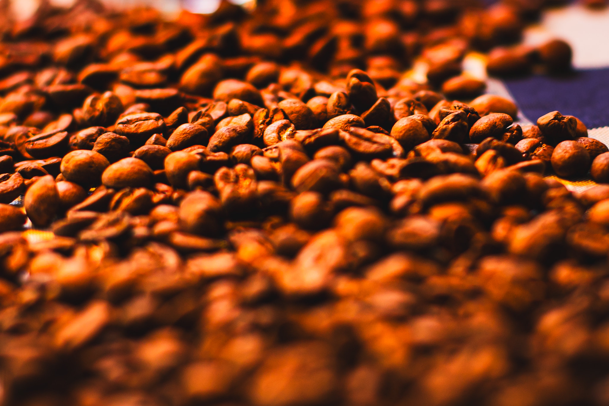 Conheça os melhores cafés especiais do Brasil da safra 2025