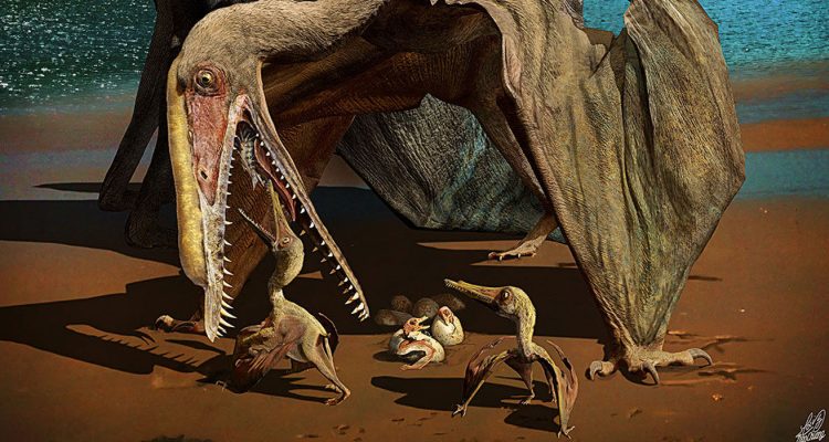Pesquisadores brasileiros identificam primeiras pegadas de pterossauros do país
