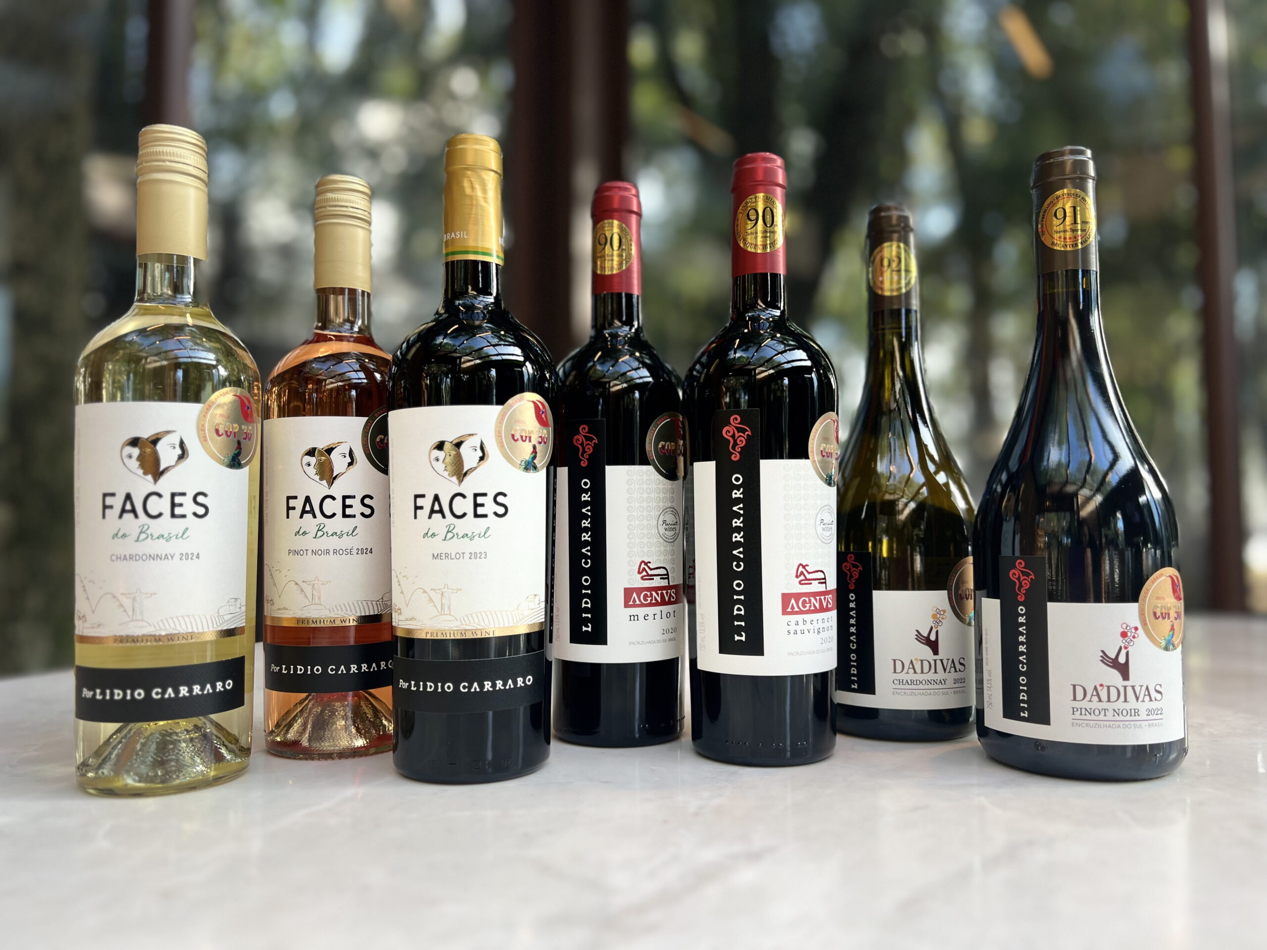 Vinícola brasileira lança vinhos sustentáveis para COP30
