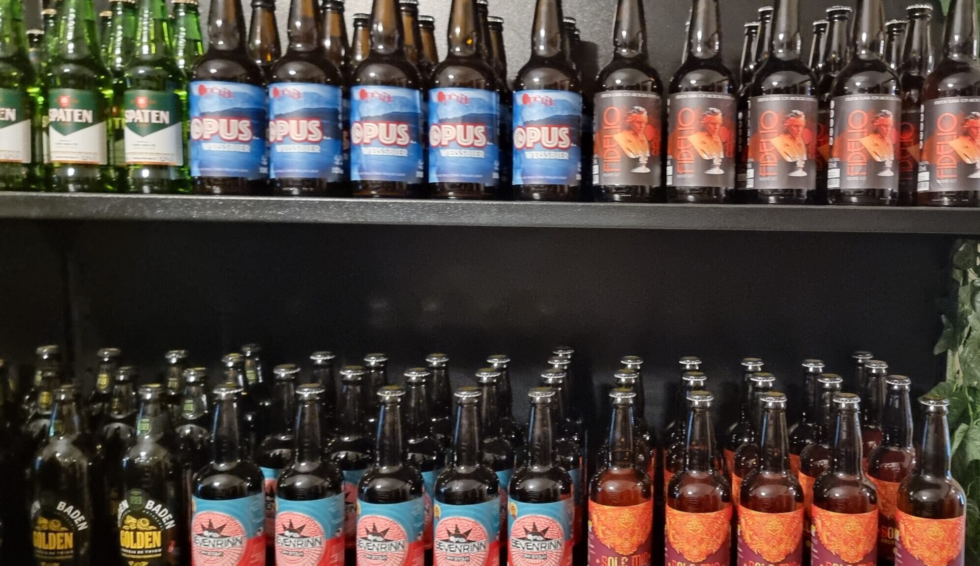 Copa do Mundo: como harmonizar cervejas com petiscos durante os jogos