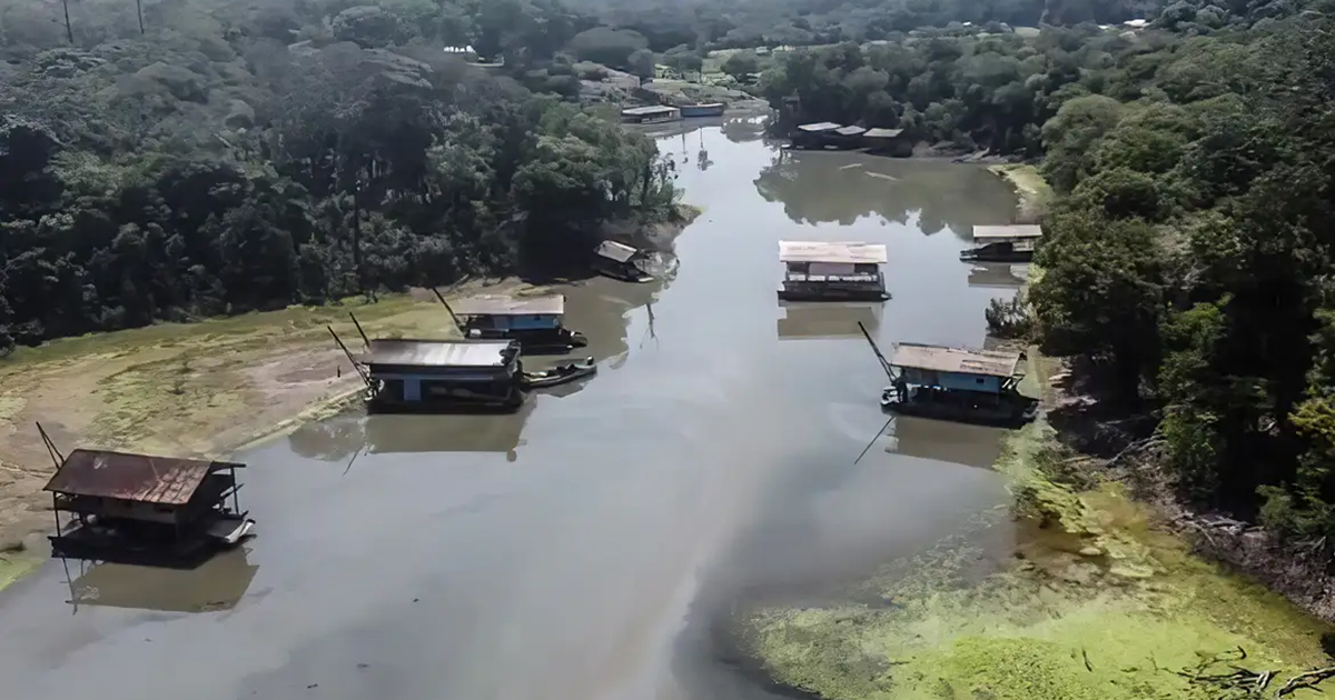 Peixe e castanha: como a dieta amazônica protege ribeirinhos do mercúrio do garimpo