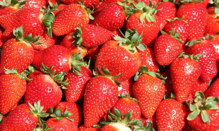 Por que o Brasil, 9º maior produtor de morango do mundo, ainda precisa importar a fruta?