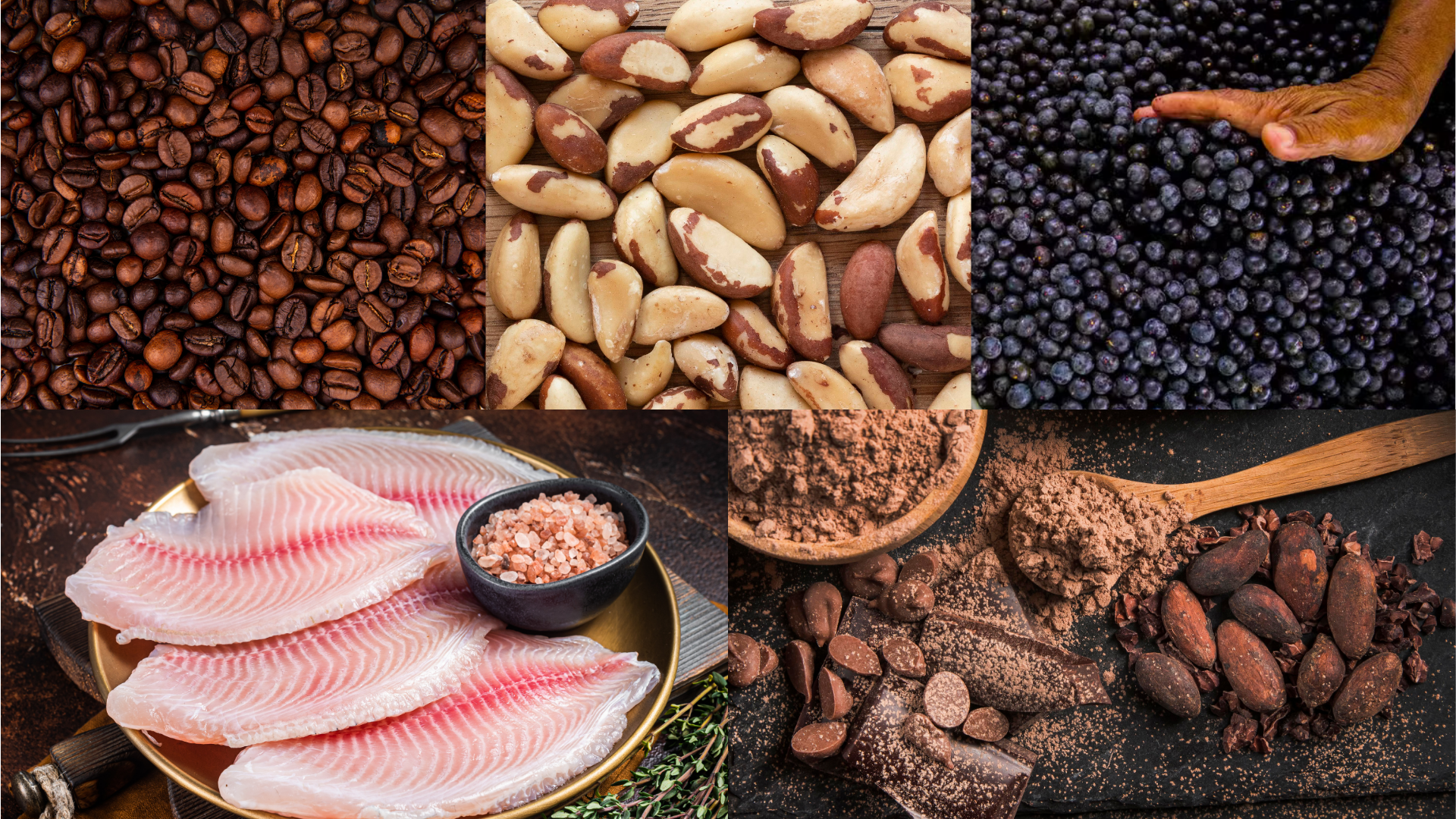 Brasil explora apenas 1% do mercado global de produtos florestais sustentáveis