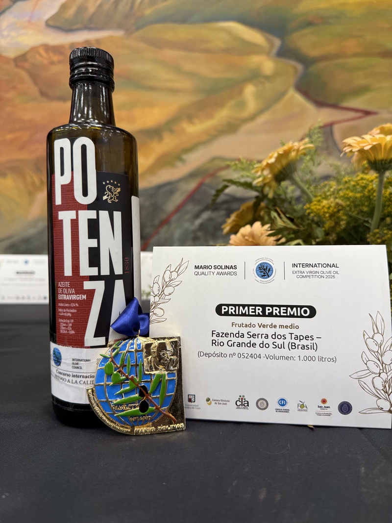 Azeite brasileiro conquista ouro em premiação na Argentina