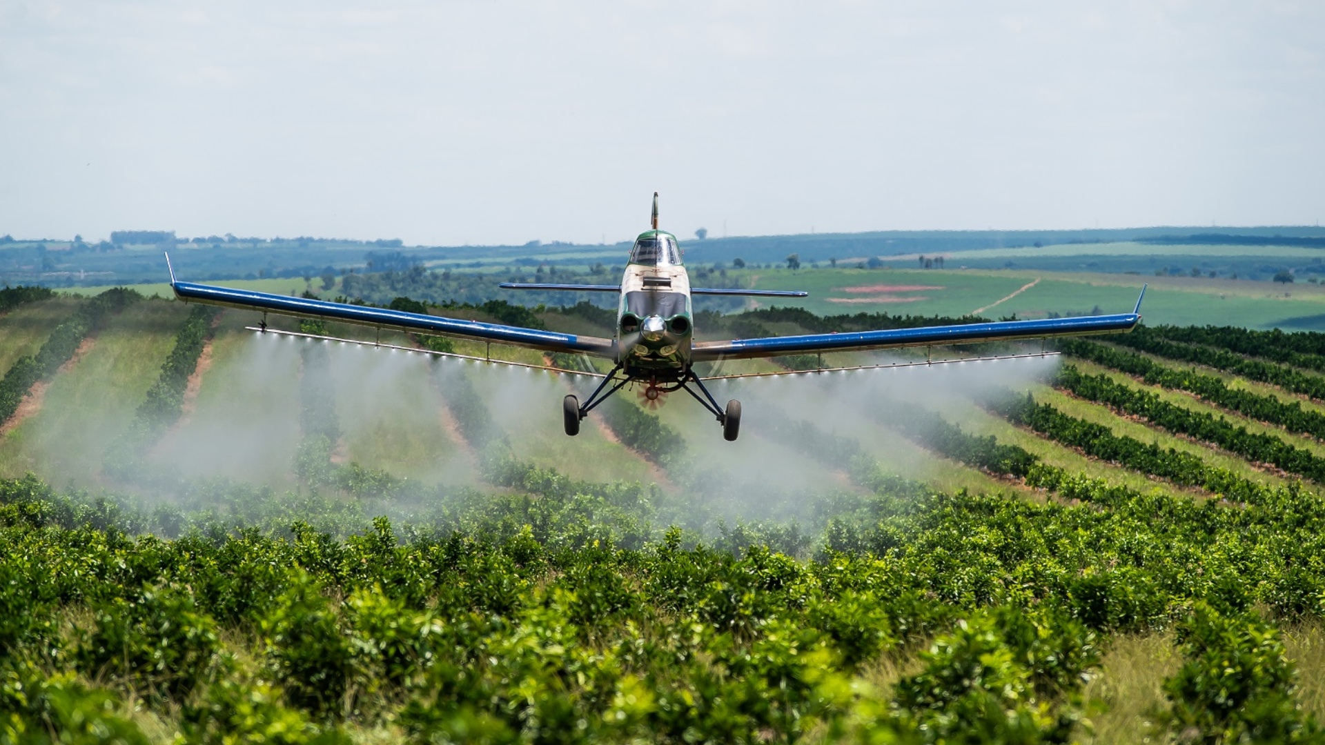 Avião a etanol da Embraer completa 1.700 unidades e domina mercado agrícola