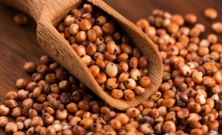 China abre mercado para DDGs e sorgo brasileiro