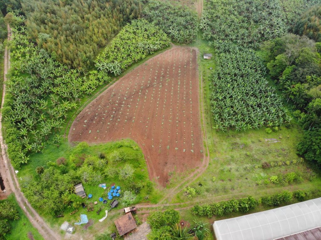 Câmara aprova prioridade para alimentos orgânicos na merenda escolar