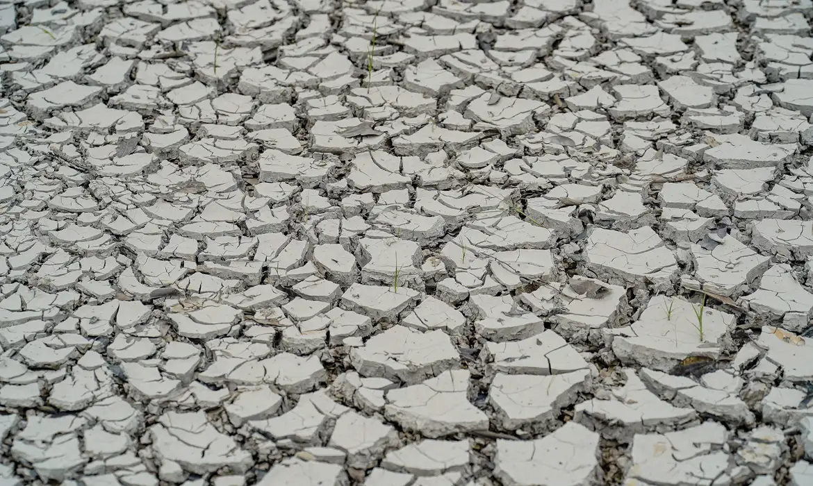 Estudo prevê clima de deserto em metade do Nordeste até 2100