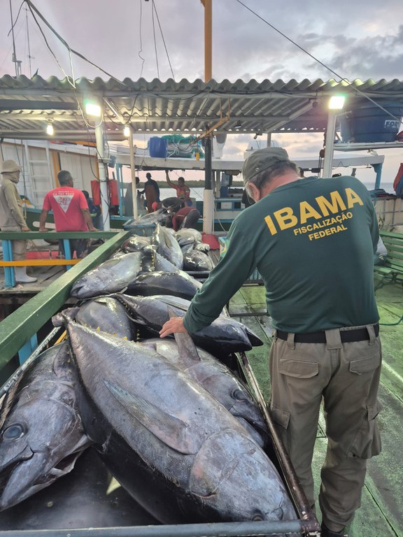 Operação apreende 2 toneladas de pescado ilegal