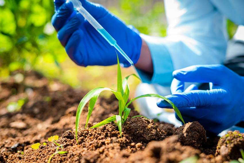 Brasil alcança marca histórica em registros de insumos agrícolas
