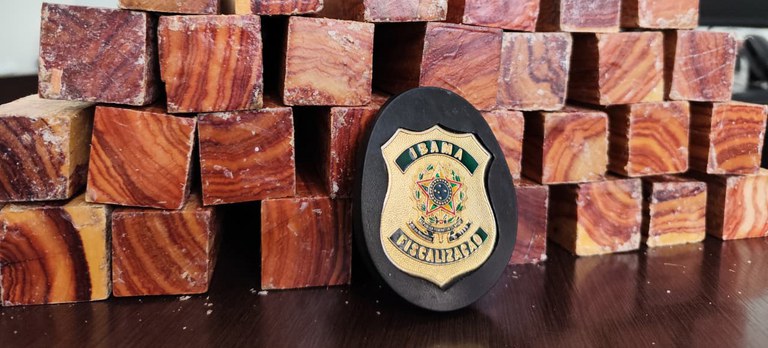 Ibama apreende 170 kg de madeira nobre e barbatanas de tubarão em Guarulhos