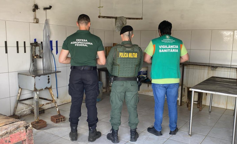 Operação apreende 3 toneladas de carne clandestina