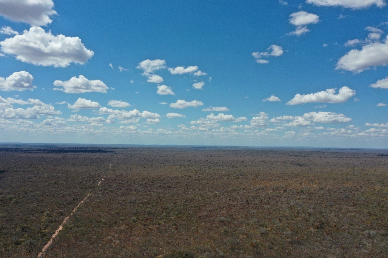 Maior reserva ambiental do Piauí protege 560 hectares de Caatinga