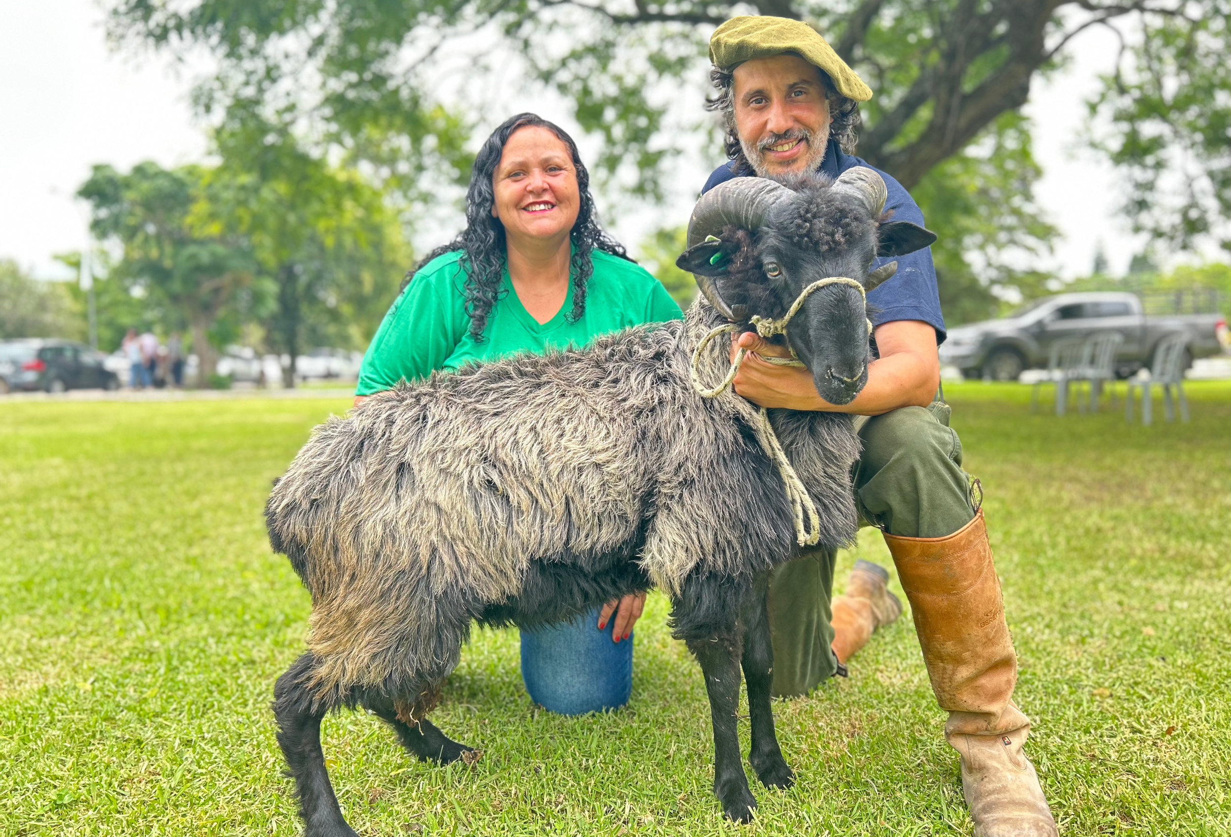 Casal do Paraná viaja 1.600 km por causa de um carneiro