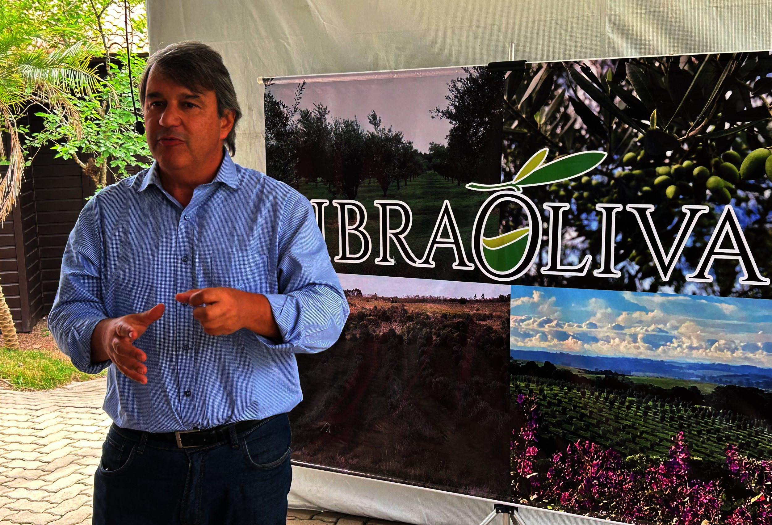 Ibraoliva projeta novo ciclo de crescimento