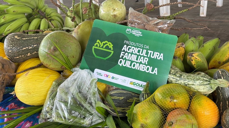 Crédito, irrigação e mercado: agricultura familiar avança em Goiás