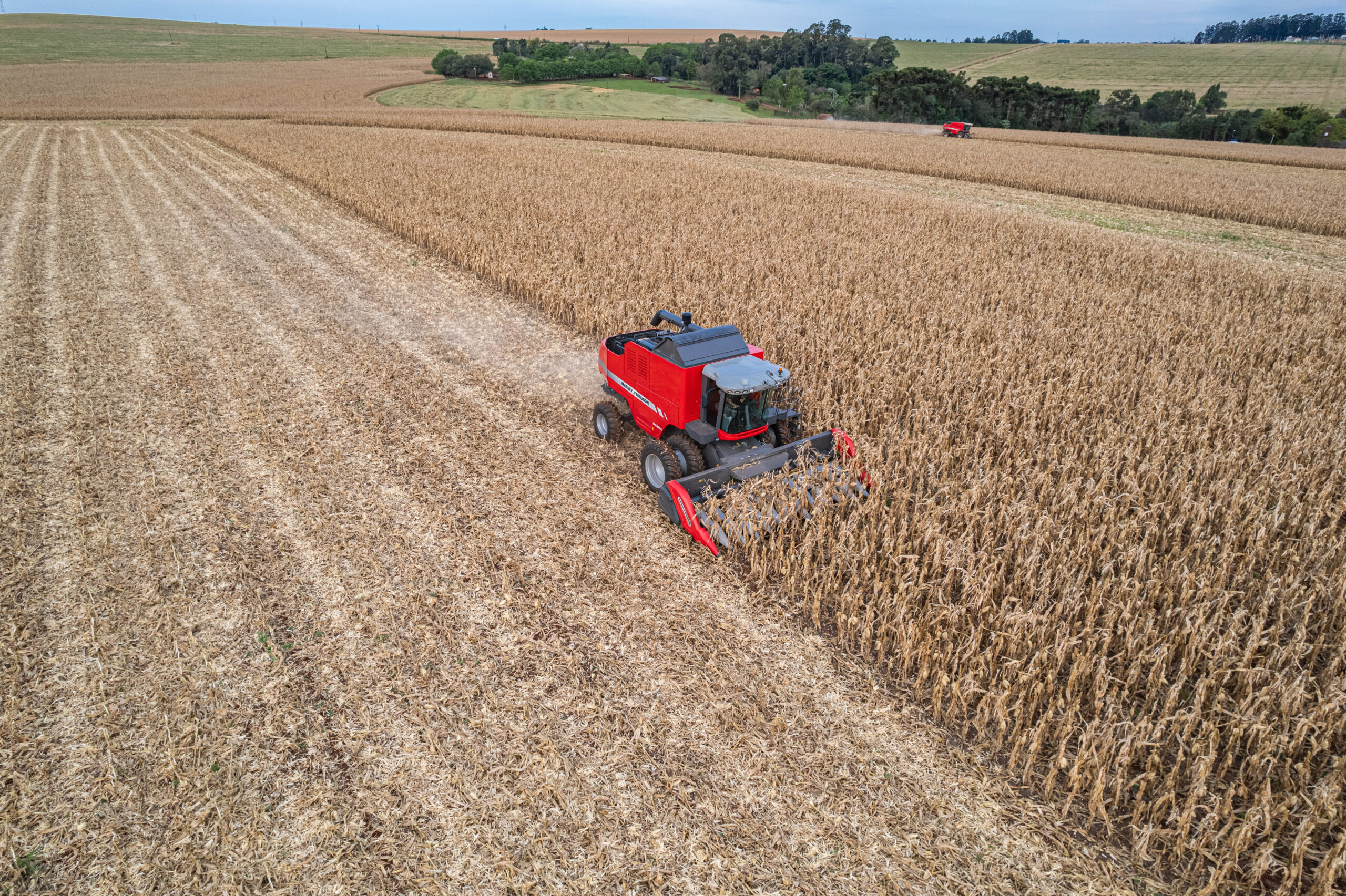 VBP: agro brasileiro movimenta R$ 1,4 trilhão em 2026