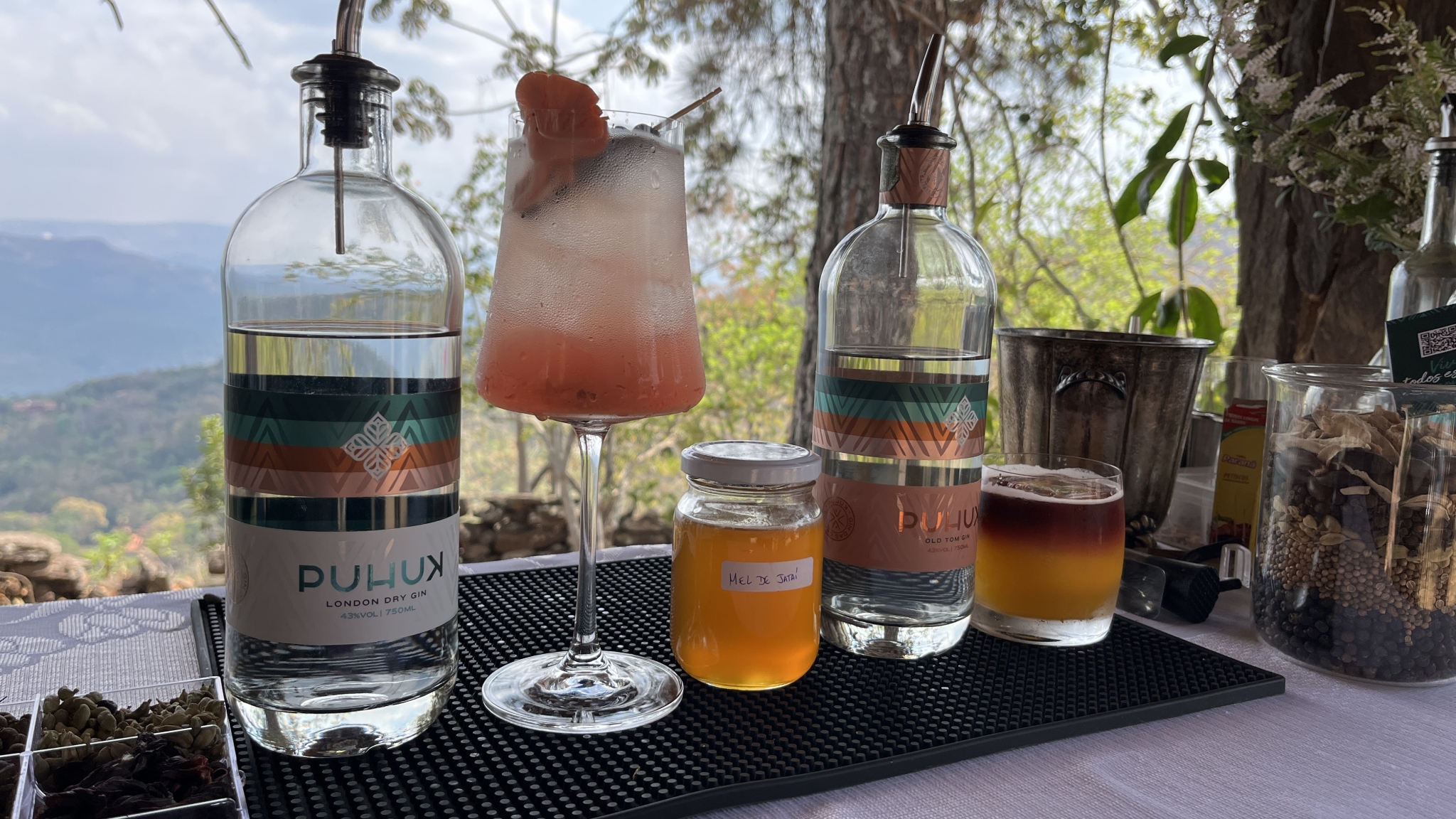 Família mineira lança primeiro gin do Brasil com mel de abelhas nativas