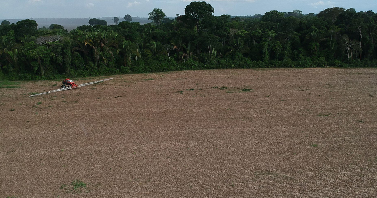 Glifosato em plantações gera problemas respiratórios em comunidades da Amazônia