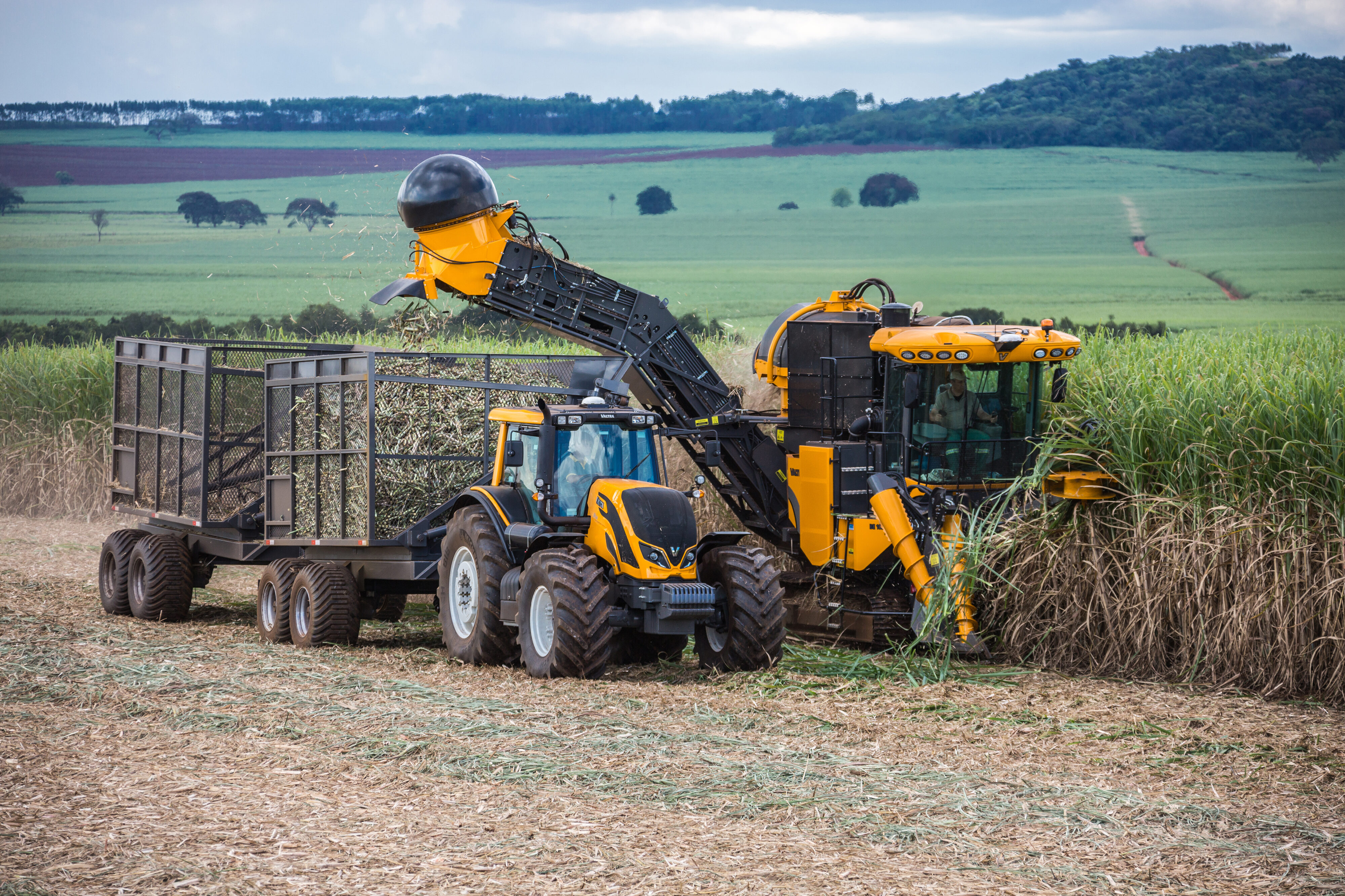 Câmara avança em projeto que muda divisão do ICMS na agropecuária