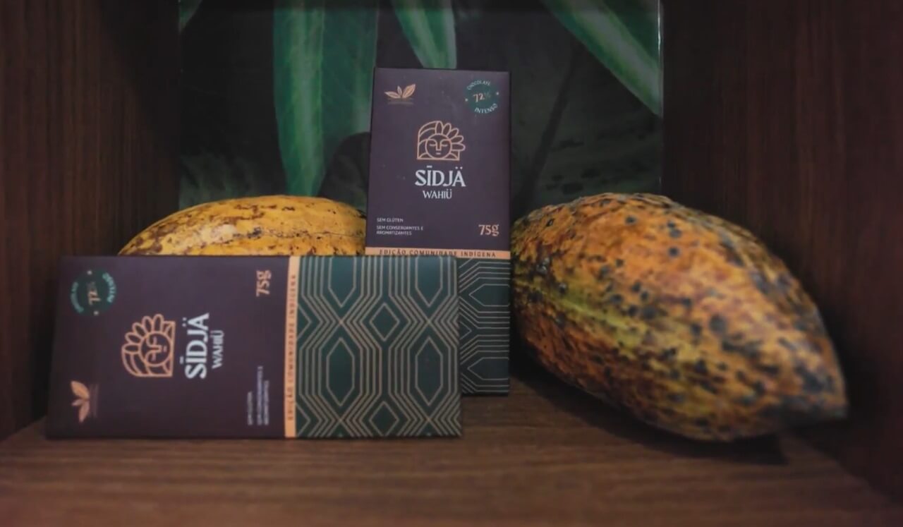 Chocolate indígena do Pará recebe reconhecimento internacional de sustentabilidade
