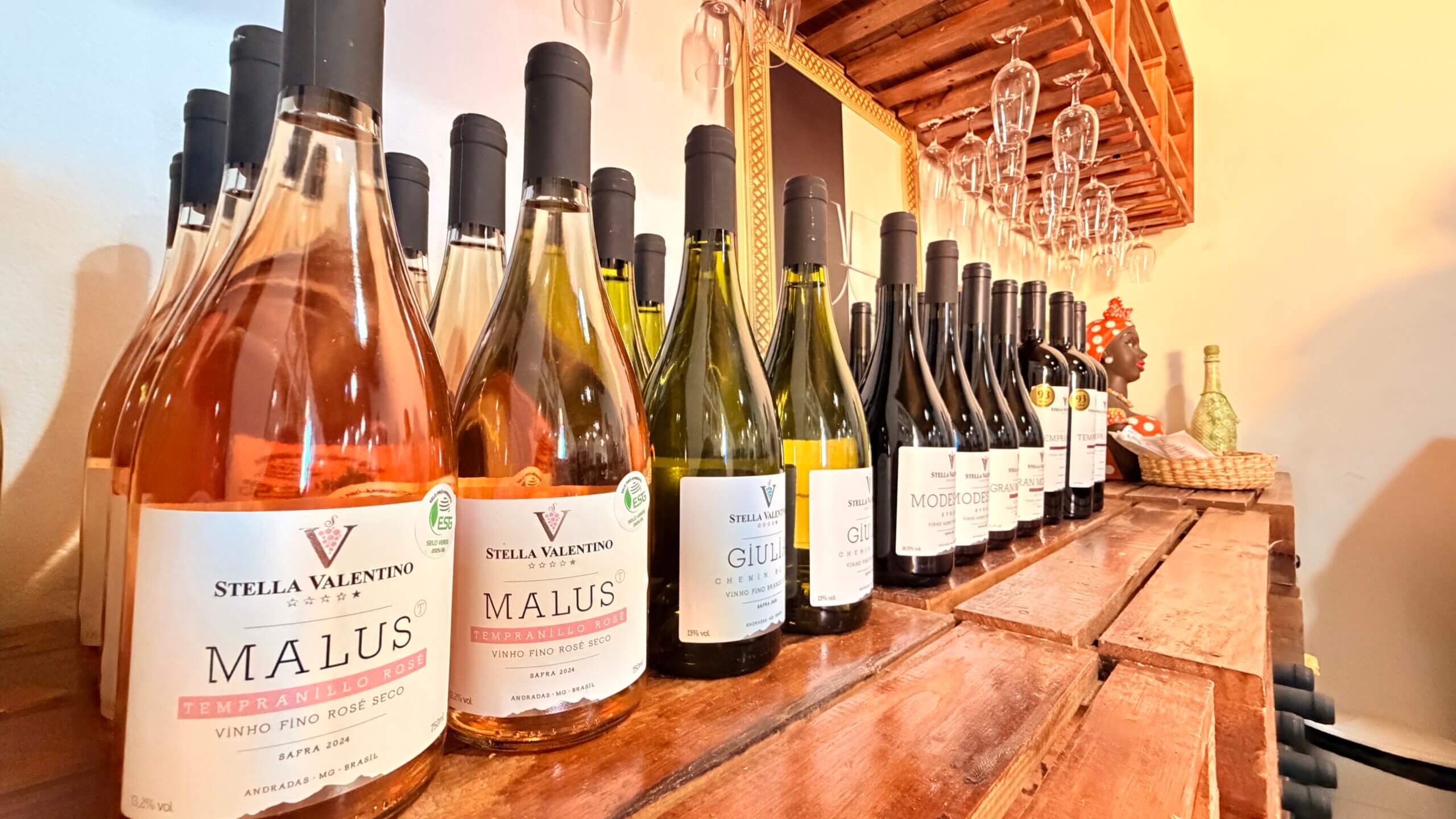 Família italiana produz vinhos premiados há mais de um século