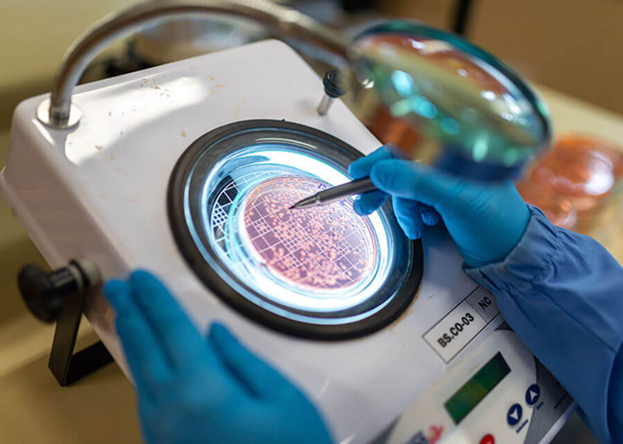 Uso de bioinsumos aumenta produtividade da soja em 8,33% no Paraná