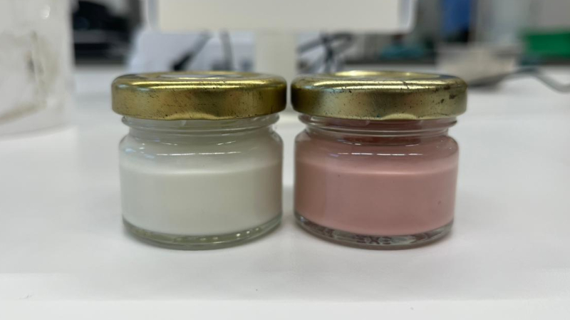 Fungo da Amazônia gera corante natural com potencial para cosméticos sustentáveis