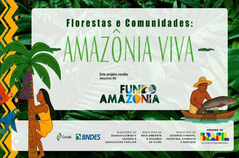 Fundo Amazônia investe R$ 80 milhões para viabilizar economia da floresta em pé