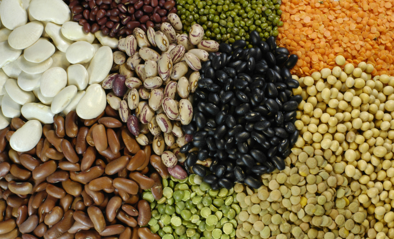 Exportações brasileiras de grãos secos (pulses) disparam 30%